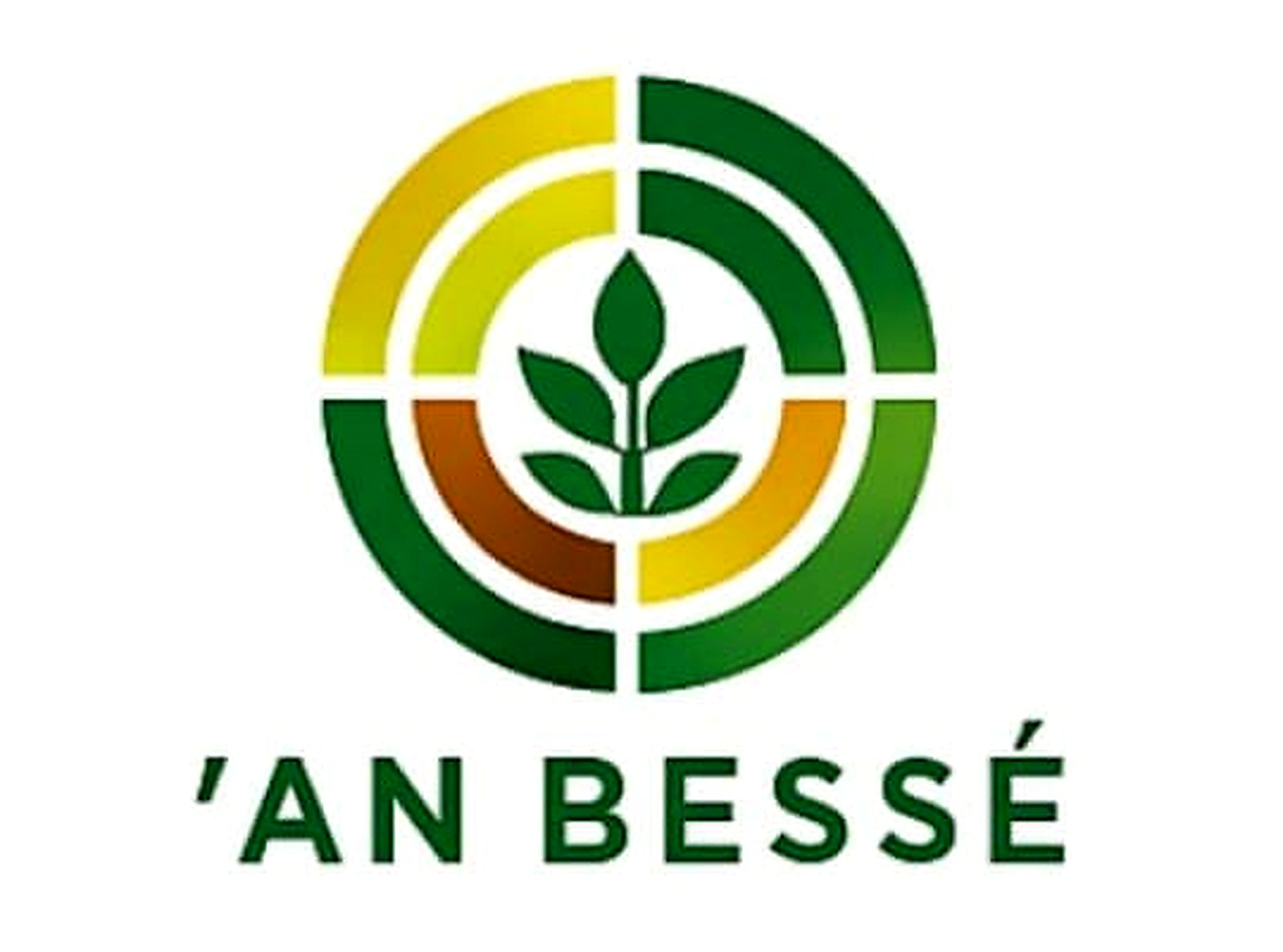 Logo officiel AN BESSÉ Mali